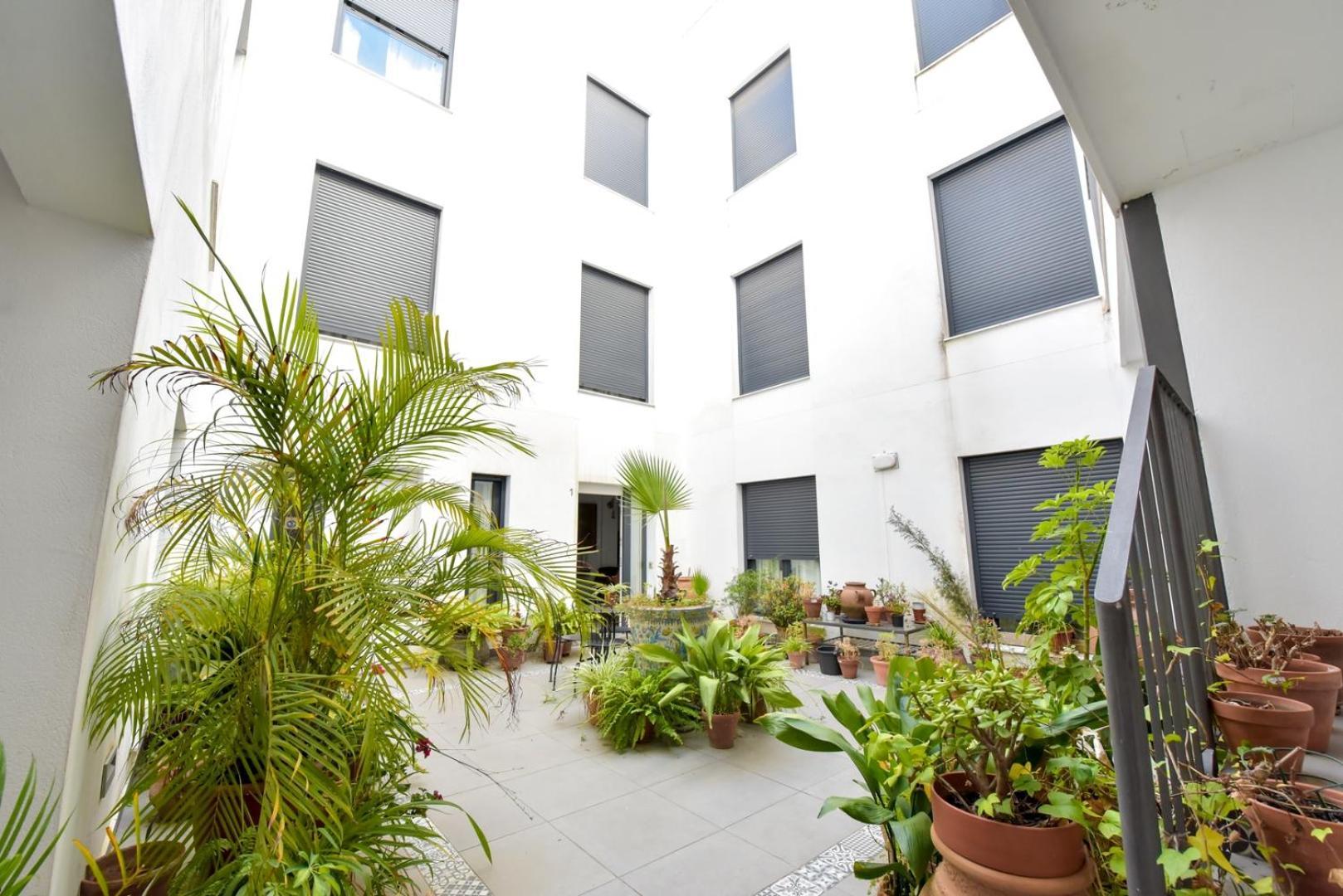 New! Penthouse With 2 Private Terraces *